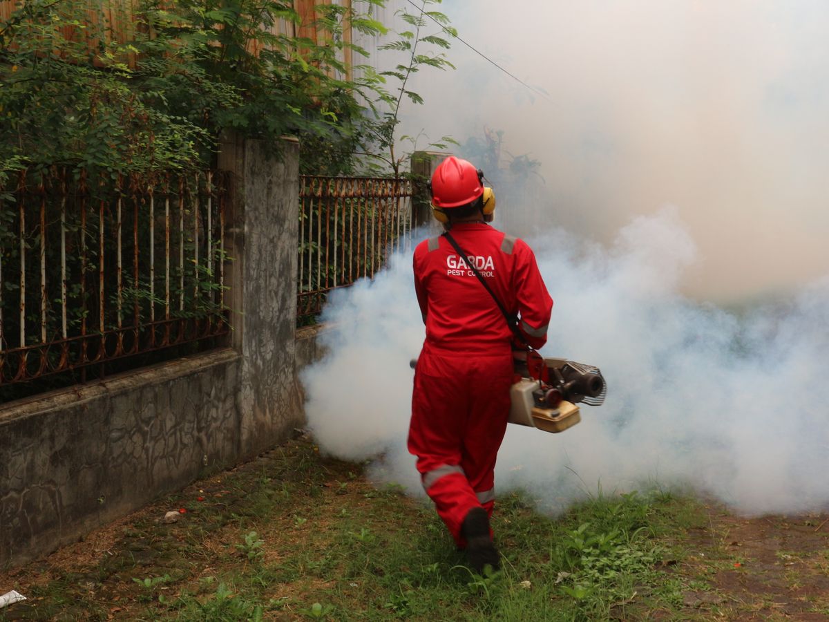 Intervention anti-nuisibles d'urgence à Reims, 24h/24